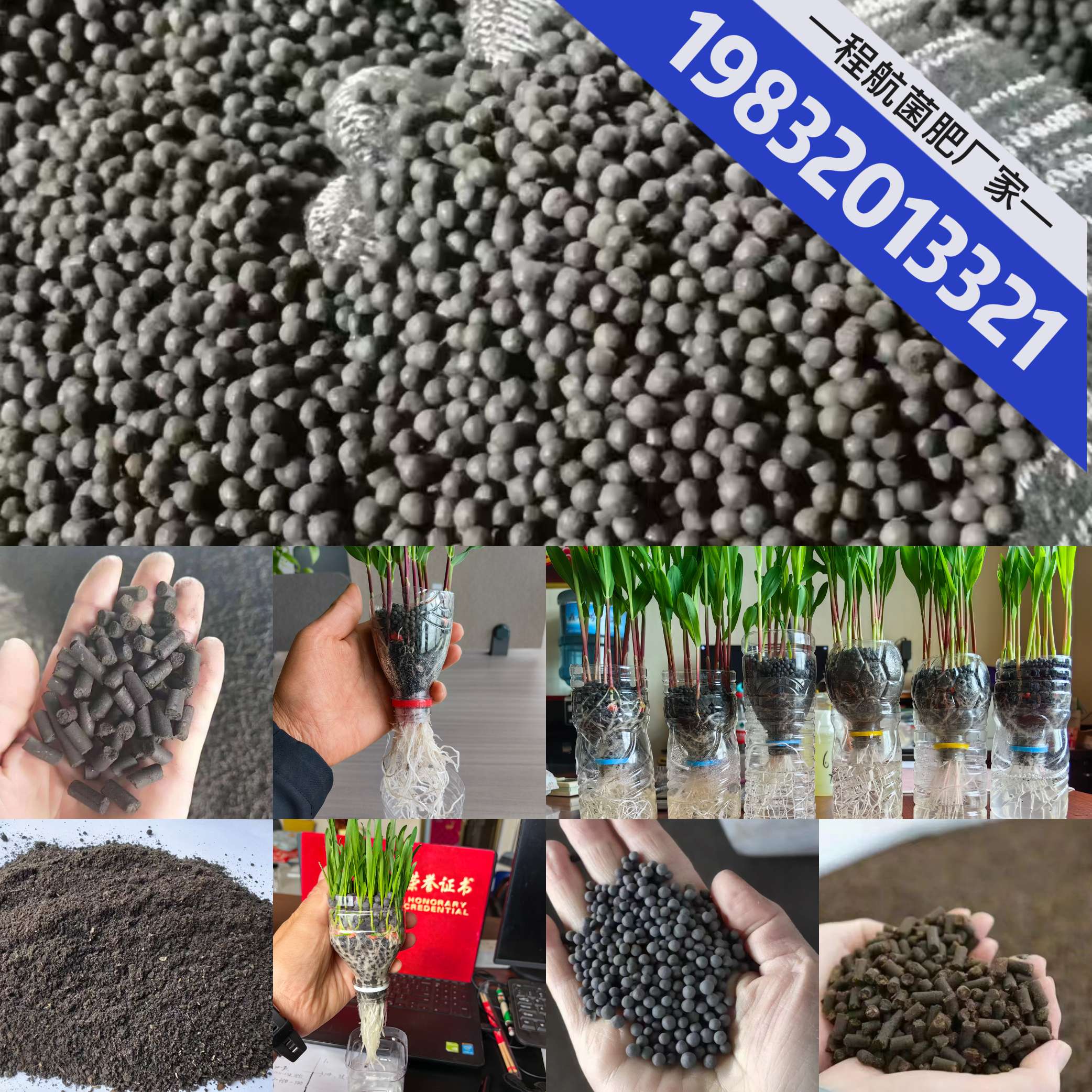 http://st-static1.gxalk.com/forums/2025/06/25/17508210784306.jpeg