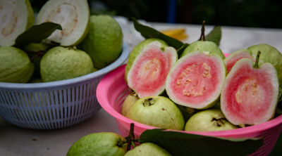 番石榴
采购意向地：&nbsp;面向全国
送货地区：&nbsp;山东
其他要求：&nbsp;寻求靠谱货源，长期