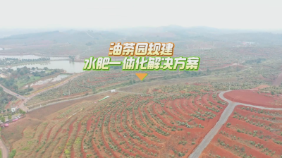 油茶园整体规建解决方案 #油茶灌溉 #水肥一体化 #华维灌溉成套好用