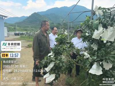 邓老师带队考察开发泰国红宝石基地。