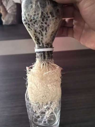 年销售量三十万吨的有机肥生产厂家，全国网点发货，资质齐全，正品保障！有机肥、生物菌肥、微生物肥料等