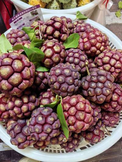 认水果，有认识的吗？