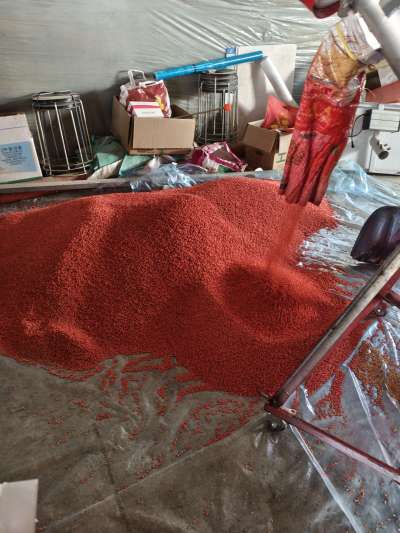 四冠包衣拌种，防虫防病壮苗增产。