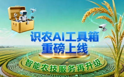 识农AI推出全场景&ldquo;农业AI百宝箱&rdquo;：病害、虫害、AI称重、AI数果、AI兑水一网打尽！农业人的终极
