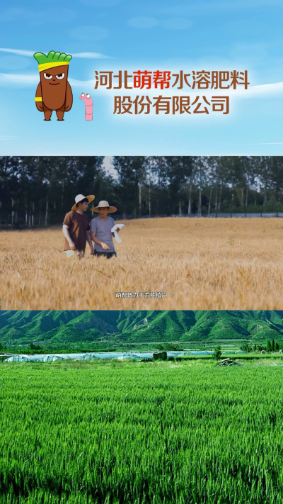河北萌帮水溶肥料股份有限公司（三）