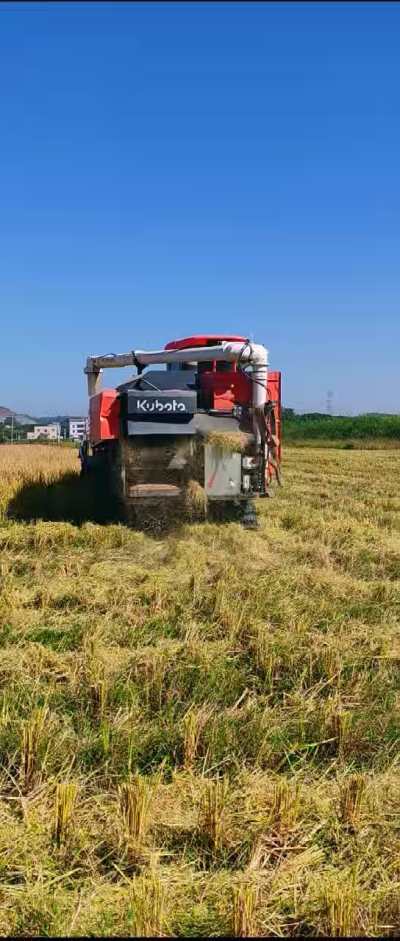 惠州基地，无人拖拉机收水稻了。