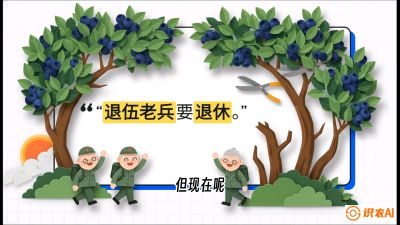 第7节：修剪决定产量（下）&mdash;&mdash;结果树的更新与疏果，课程：《蓝莓&ldquo;高产&rdquo;实战课：从选苗到丰收的10个关键点》