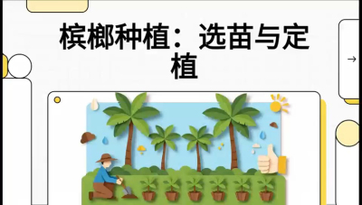 第01节：选苗与定植&mdash;&mdash;&ldquo;苗好一半收，底肥定千秋&rdquo;课程：《槟榔种植：从不懂到精通的10堂必修课》