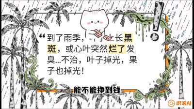 第05节：常见真菌病害&mdash;&mdash;&ldquo;炭疽与烂心，早防值千金&rdquo;《槟榔种植：从不懂到精通的10堂必修课》