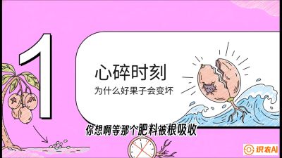 第08节：微量元素与保果&mdash;&mdash;&ldquo;补硼又补钙，果子不裂坏&rdquo;《槟榔种植：从不懂到精通的10堂必修课》