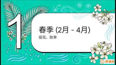 第10节：周年农事日历&mdash;&mdash;&ldquo;跟着节气走，丰产在手头&rdquo;《槟榔种植：从不懂到精通的10堂必修课》