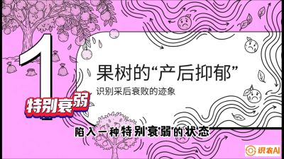 第2节：【冬肥策略】采后&ldquo;月子肥&rdquo;：大小年的精准干预术，课程：《柑橘底肥&ldquo;翻身账&rdquo;：从改土到高产的实战全书》