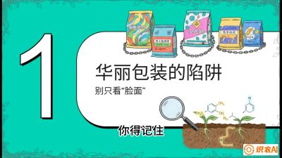 第4节：【黄金配方】底肥里的&ldquo;铁三角&rdquo;与&ldquo;微量雷区&rdquo;课程：《柑橘底肥&ldquo;翻身账&rdquo;：从改土到高产的实战全书》