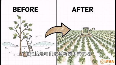 第02节：把树变成草&mdash;&mdash;&ldquo;草本化密植&rdquo;技术，课程：《桑海淘金：桑树高产与蚕桑安全进阶实战课》