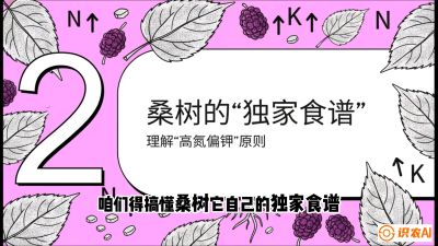 第04节：地下核动力&mdash;&mdash;桑树专用水肥一体化配方，课程：《桑海淘金：桑树高产与蚕桑安全进阶实战课》