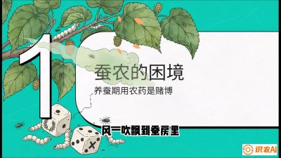 第06节：虫口夺叶（上）&mdash;&mdash;物理与生物防控绝技，课程《桑海淘金：桑树高产与蚕桑安全进阶实战课》