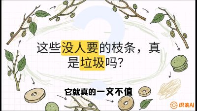 第12节：变废为宝&mdash;&mdash;循环农业实操，课程：《桑海淘金：桑树高产与蚕桑安全进阶实战课》