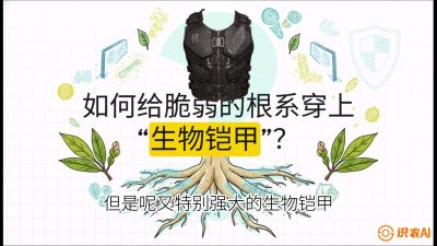 第三节：国产榴莲突围战：根系堡垒，菌根微生态构建与黄金定植窗口，课程：《国产榴莲突围战：从泰国经验到中国实操的8堂必修课（高阶实战版）》