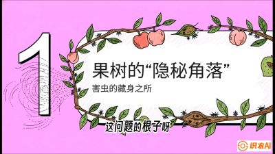 第3节：无人机专治&ldquo;打不透&rdquo;&mdash;&mdash;果树与高杆作物的穿透技巧，课程：《无人机植保搞钱必修课：从&ldquo;瞎飞&rdquo;到&ldquo;懂行&rdquo;的6步进阶》