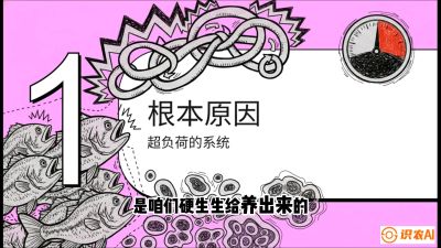 第三节：【爆款单品&middot;加州鲈】从&ldquo;玻璃鱼&rdquo;到&ldquo;摇钱树&rdquo;的通关秘籍，课程：《黄金鳞甲：2025中国淡水鱼高效养殖实战营》
