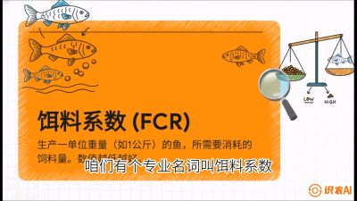 第五节：【高端单品&middot;鳜鱼】&ldquo;饲料鳜&rdquo;技术：打破吃活饵的高成本魔咒，课程：《黄金鳞甲：2025中国淡水鱼高效养殖实战营》