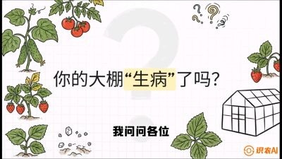 第2节（解毒篇）： 大棚里的&ldquo;红白绿&rdquo;警报&mdash;&mdash;读懂土壤盐渍化的求救信号，课程：《揭秘土壤的秘密：让土地帮你赚钱》#识农AI