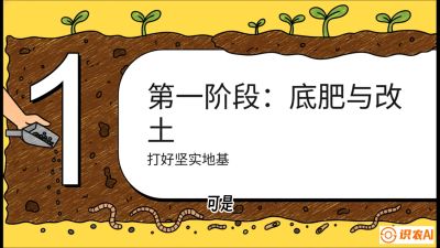 第6节（统筹篇）： 省钱又增产的&ldquo;黄金配比&rdquo;&mdash;&mdash;不同作物全年的养土实操方案，课程：《揭秘土壤的秘密：让土地帮你赚钱》#识农AI