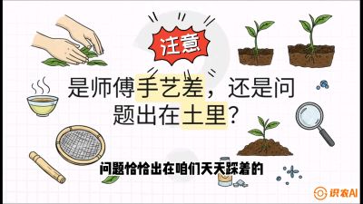 第02节（土肥篇）：告别&ldquo;苦涩水味&rdquo;：揭秘&ldquo;碳氮比&rdquo;调控术，种出自带兰花香的好茶底，课程：《茶金时代：从&ldquo;看天吃饭&rdquo;到&ldquo;精准控局&rdquo;的茶叶高产提质实战课》