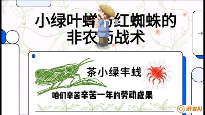 第03节（虫害篇）：看不见的吸血鬼：小绿叶蝉与红蜘蛛的&ldquo;非农药&rdquo;团灭战术（抗性治理），课程：《茶金时代：从&ldquo;看天吃饭&rdquo;到&ldquo;精准控局&rdquo;的茶叶高产提质实战课》