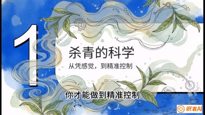 第05节（加工篇）：决胜2分钟：用&ldquo;数字温控&rdquo;破解杀青不匀，复刻大师级手工口感，课程：《茶金时代：从&ldquo;看天吃饭&rdquo;到&ldquo;精准控局&rdquo;的茶叶高产提质实战课》