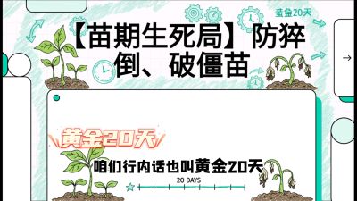 第2节：【苗期生死局】防猝倒、破僵苗，决定后期产量的&ldquo;黄金20天&rdquo;，课程：《辣椒种植实战特训营，从工业辣椒到精品小米辣，教你如何把&ldquo;草&rdquo;种成&ldquo;金&rdquo;》