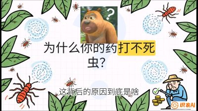 第4节：【虫害歼灭战】打不死的蓟马、隐形的茶黄螨：抗性时代的&ldquo;混配绝杀&rdquo;，课程：《辣椒种植实战特训营，从工业辣椒到精品小米辣，教你如何把&ldquo;草&rdquo;种成&ldquo;金&rdquo;》