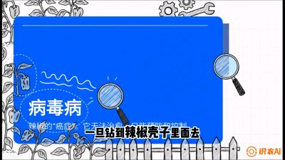 第5节：【病毒病阻击】辣椒的&ldquo;癌症&rdquo;怎么治？从&ldquo;绝收恐慌&rdquo;到&ldquo;带毒生产&rdquo;的逆转术，课程：《辣椒种植实战特训营，从工业辣椒到精品小米辣，教你如何把&ldquo;草&rdquo;种成&ldquo;金&rdquo;》