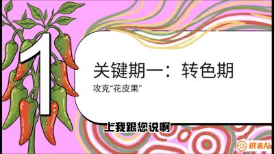 第8节：【小米辣线椒专场】颜值即正义！防花皮、防炭疽，打造收购商抢着要的&ldquo;精品果&rdquo;，课程：《辣椒种植实战特训营，从工业辣椒到精品小米辣，教你如何把&ldquo;草&rdquo;种成&ldquo;金&rdquo;》