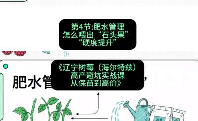 第四节： 肥水管理&mdash;&mdash;怎么喂出&ldquo;石头果&rdquo;（硬度提升），课程：《辽宁树莓（海尔特兹）高产避坑实战课：从保苗到高价》