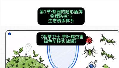 第01节：茶园的&ldquo;隐形盾牌&rdquo;&mdash;&mdash;物理防控与生态诱杀体系，课程：《茗茶卫士&mdash;&mdash;茶叶病虫害绿色防控实战课》#识农AI