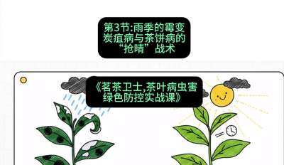 第03节：雨季的霉变&mdash;&mdash;炭疽病与茶饼病的&ldquo;抢晴&rdquo;战术，课程：《茗茶卫士&mdash;&mdash;茶叶病虫害绿色防控实战课》#识农AI