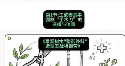 第01节：工欲善其事&mdash;&mdash;园林&ldquo;手术刀&rdquo;的选择与消毒，课程：《景观树木&ldquo;整形外科&rdquo;造型实战特训营》#识农AI