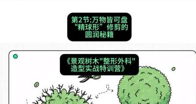 第02节：万物皆可盘&mdash;&mdash;&ldquo;精球形&rdquo;修剪的圆润秘籍，课程：《景观树木&ldquo;整形外科&rdquo;造型实战特训营》#识农AI