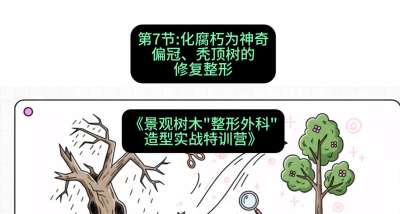 第07节：化腐朽为神奇&mdash;&mdash;偏冠、秃顶树的修复整形，课程：《景观树木&ldquo;整形外科&rdquo;造型实战特训营》#识农AI
