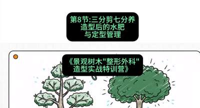 第08节：三分剪七分养&mdash;&mdash;造型后的水肥与定型管理，课程：《景观树木&ldquo;整形外科&rdquo;造型实战特训营》#识农AI