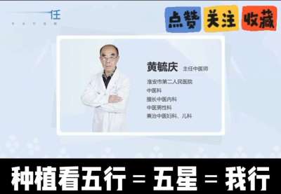 中药材淫羊藿怎么种？听专家一次讲明白！不挑地块好管理，耐寒耐旱省心省力，新手也能轻松上手，药用价值高、市场需求稳，妥妥的增收好品种～ 从生长习性到采收要点，干货满满无废话，种植疑问直接问，一对一答疑解