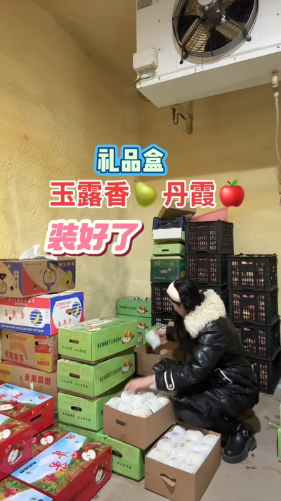 玉露香梨，丹霞苹果礼品盒