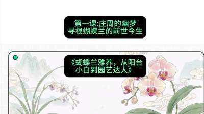 第一节：庄周的幽梦：寻根蝴蝶兰的前世今生，课程：《蝴蝶兰雅养六讲：从阳台小白到园艺达人》#识农AI