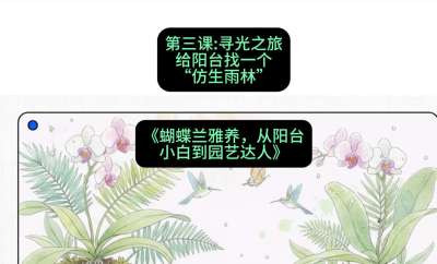 第三节：寻光之旅：给阳台找一个&ldquo;仿生雨林&rdquo;，课程：《蝴蝶兰雅养六讲：从阳台小白到园艺达人》#识农AI