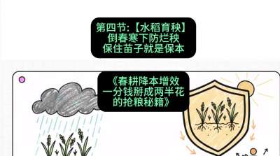 第四节：【水稻育秧】倒春寒下防烂秧，保住苗子就是保本
