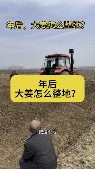 年后，大姜怎么整地？