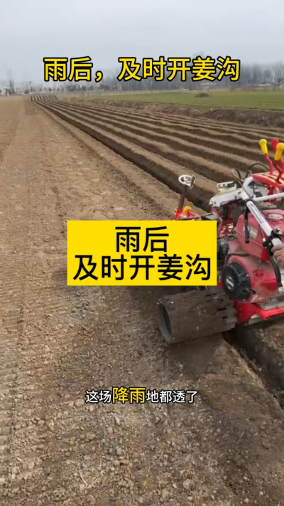 雨后，及时开姜沟！
