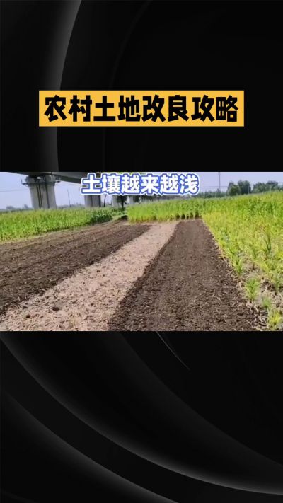 1. 先搞懂：你到底要改良哪块地、种什么
 
- 土土土在哪里？
就是你自家农田、菜地、果园，哪块地想种庄稼，就测哪块地的土。
​
- 有水没有水？
有水能浇：改良更省事，施肥、调酸碱都好操作。
没水