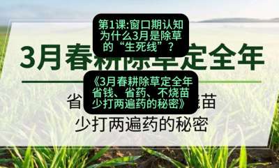 第1节：窗口期认知，为什么3月是除草的&ldquo;生死线&rdquo;？，课程：《3月春耕除草定全年：省钱、省药、不烧苗、少打两遍药的秘密》
